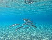 La Foto del Giorno (9 nov.)