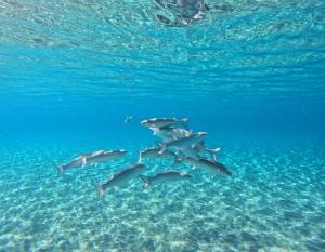 La Foto del Giorno (9 nov.)