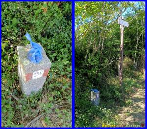Il cane è il miglior amico dell&#039;uomo; sì ma...