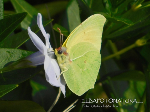 La Foto del Giorno (21 mar.)