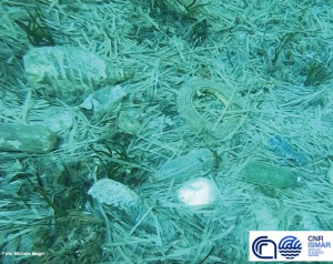 A Giannutri scoperto un accumulo di rifiuti a 15 metri di profondità