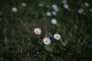 La Foto del Giorno (7 mag.)