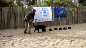 Arrivano i “Tarta Dogs”, i cani che cercano i nidi di tartaruga. Obiettivo conservare la Caretta caretta