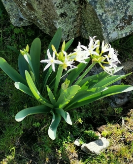 La Foto del Giorno (5 mag.)