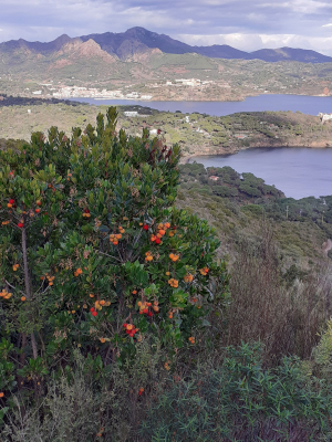 La Foto del Giorno (1° dic.)