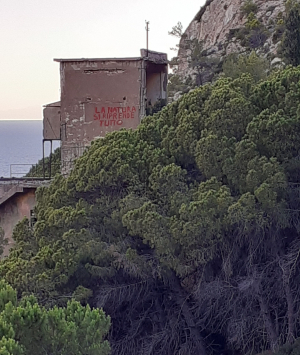 Fotonotizia: La natura (prima o poi) si riprende tutto