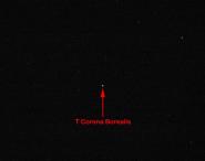 L'osservazione di una Nova ricorrente nei nostri cieli