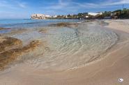 Il Parco Nazionale avvia un’indagine sui visitatori di Pianosa