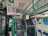 Va’ dove ti porta il bus - Gli studenti di Portoferraio raccontano la città attraverso l’arte