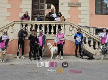 Urban Dog – Cittadino a 6 Zampe: il grande successo del primo corso ufficiale di Let’s Dog