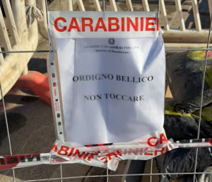 Rinvenuto nella periferia di Portoferraio un ordigno bellico inesploso