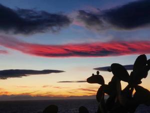 La Foto del Giorno (2 nov.)