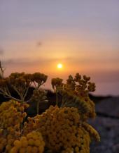 Passeggiata del Solstizio d'estate con l'associazione Pedalta
