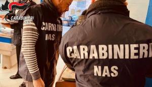 Controlli dei Carabinieri del NAS all’Elba: chiusa attività per gravi carenze igienico-sanitarie