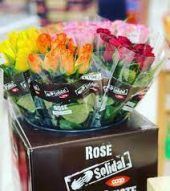 L'8 Marzo nei negozi Coop un omaggio a tutte le donne