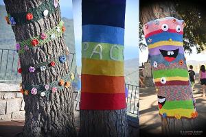 Progetto "Alberi vestiti a festa": i pini di Facciatoja diventano ambasciatori di pace e speranza