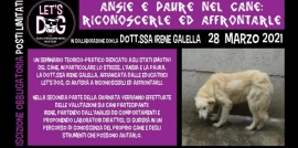 Ansie e paure nel cane, come riconoscerle ed affrontarle - un seminario con Let&#039;s Dog a.s.d.