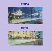 Rio: Comune e Parco Minerario odiano gli alberi?