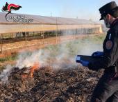 Prevenzione incendi. I Carabinieri Forestali denunciano 3 persone per combustione illecita di rifiuti