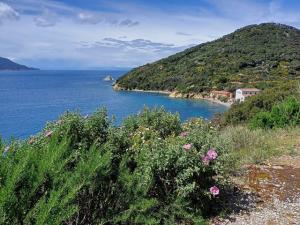 Parco Nazionale Arcipelago Toscano: la Corte dei conti conferma la solidità del modello di gestione dell'Ente
