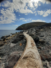 La Foto del Giorno (23 apr.)