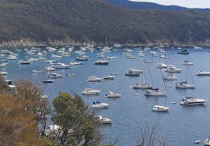 Uno spaventoso assembramento di &quot;barche&quot; nel Golfo del Viticcio