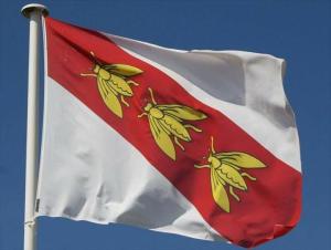 La Bandiera (ed il supposto candidato di ...)