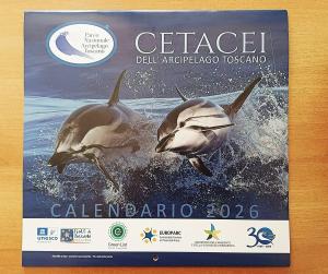 Dedicato ai cetacei dell’Arcipelago Toscano: il nuovo Calendario 2026 del Parco Nazionale