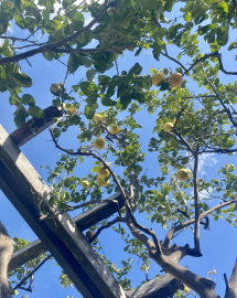 La Foto del Giorno (12 mar.)