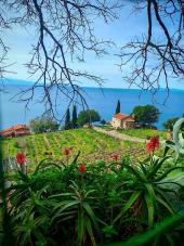 La Foto del Giorno (5 mar.)