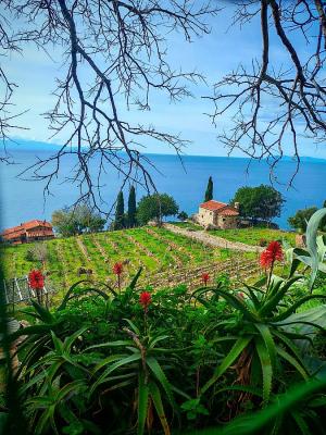 La Foto del Giorno (5 mar.)