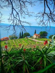 La Foto del Giorno (5 mar.)