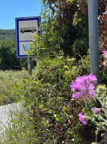 Avventure temerarie per prendere il bus sulla SP26