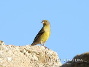 La Foto del Giorno (4 lug.)