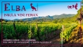 INSULA VINI FERAX, visita ai vigneti e alla cantina dell'Acquabona