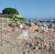 Nido marinese della Tartaruga marina, un evento inaspettato a nord dell'isola