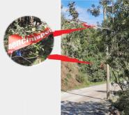 Fazzoletti pubblicitari di plastica appesi ai rami sul Sentiero dell'Amore