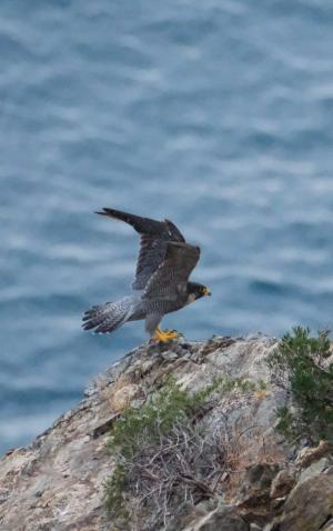 La Foto del Giorno (25 sett.)