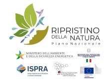 Legambiente a Comuni e Parco: partecipate alla Consultazione per la definizione del Piano Nazionale di Ripristino (PNR)