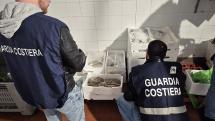 Controlli sulla filiera ittica all’Elba: oltre 300 ispezioni della Guardia Costiera di Portoferraio