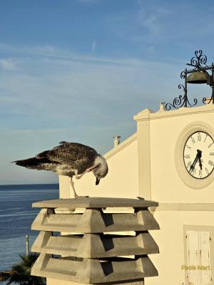 La Foto del Giorno (14 ott.)