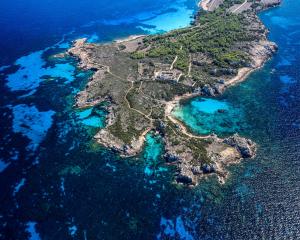 Pianosa: un ecosistema non è un contenitore