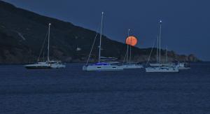 La Foto del Giorno (20 ago.)