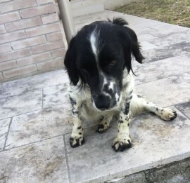 Aiutateci a ritrovare Kenia