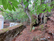 Madonna del Monte: per incuria si sta ammalorando l'Esedra delle fonti