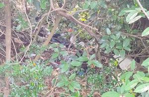 La discarica permanente sulla strada del Capannone