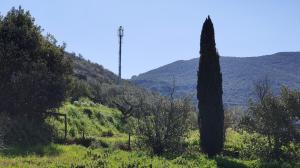 Portoferraio: sospesi i lavori per la realizzazione dell'antenna in Valcarene