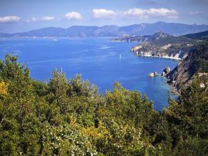 La Foto del Giorno (13 apr.)