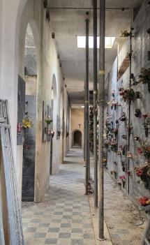 Cimitero della Misericordia: a parere di un cittadino nell'incuria e nel degrado
