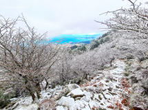 Meteo, possibili nevicate anche sui rilievi elbani